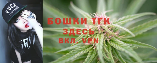 PSILOCYBIN Верея