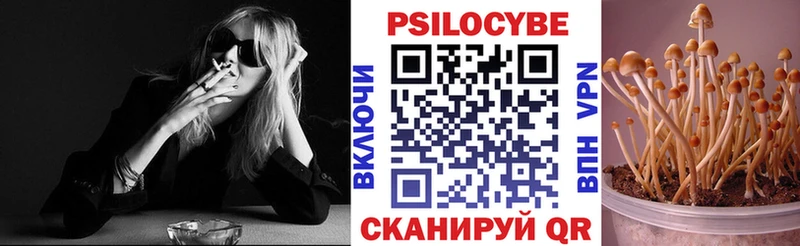 Галлюциногенные грибы ЛСД  цена   Кедровый 